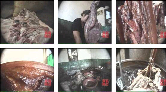 漳州40吨病死猪肉流向广东等地餐桌