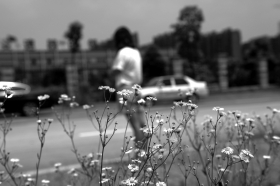 美女学员遭色狼教练强吻 驾校称或无意碰到嘴 图